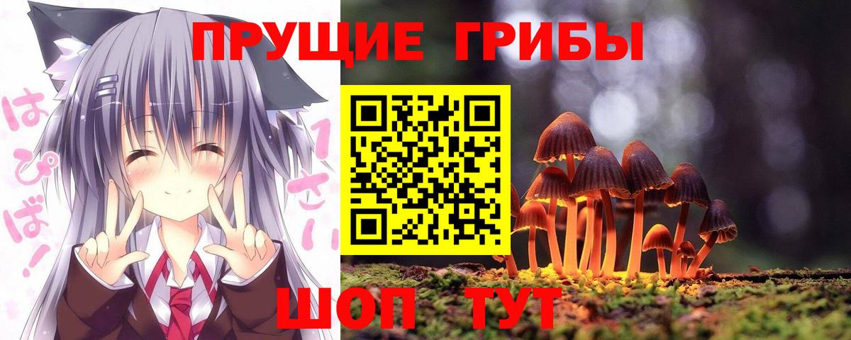 Галлюциногенные грибы прущие грибы  Галлюциногенные грибы ЛСД  Вход с VPN  Люберцы 