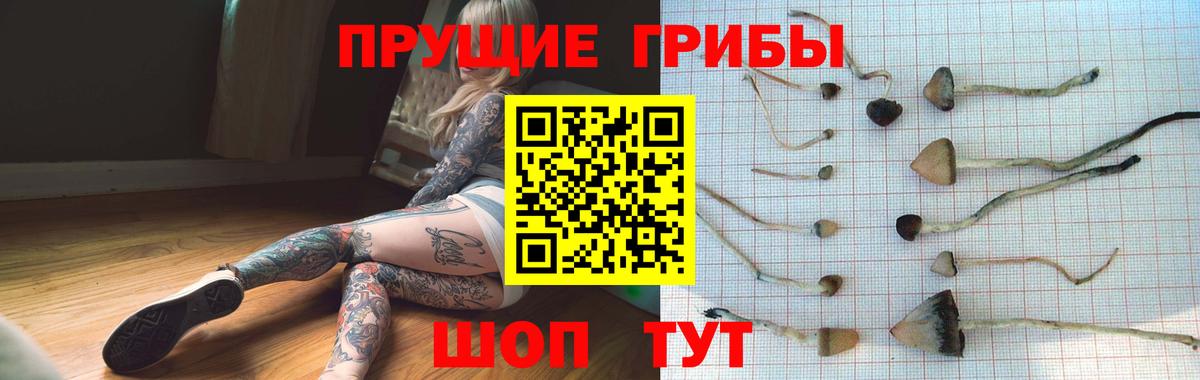 Галлюциногенные грибы ЛСД Люберцы
